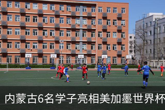 内蒙古6名学子亮相美加墨世界杯揭幕战 直言太激动
